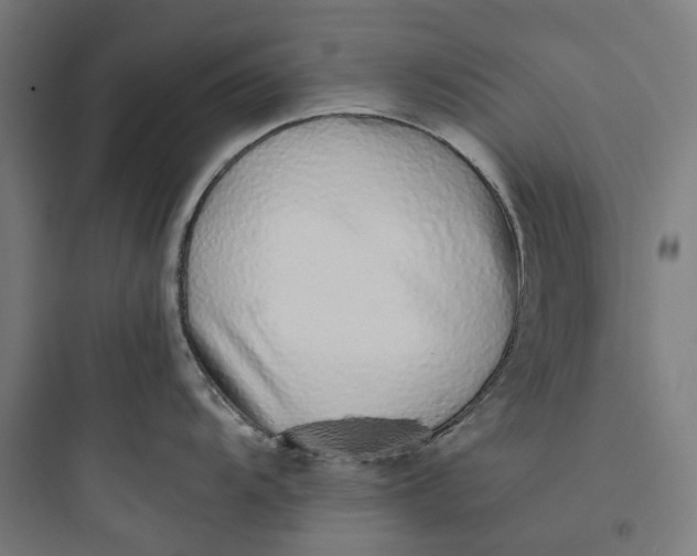 X0000093771104200711061128