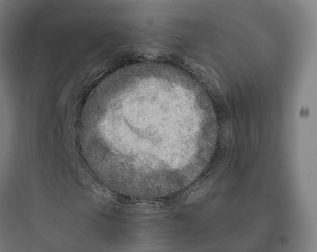 X0000093771105200711061128