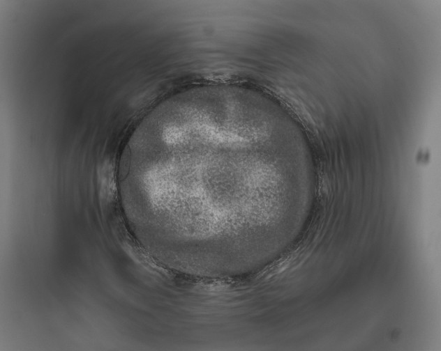 X0000093771106200711061128