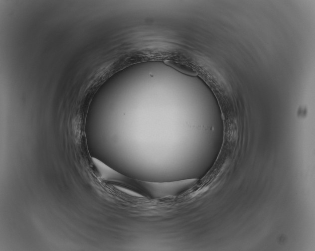 X0000093771108200711061128