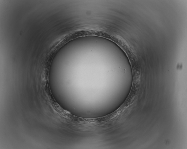 X0000093771110200711061128