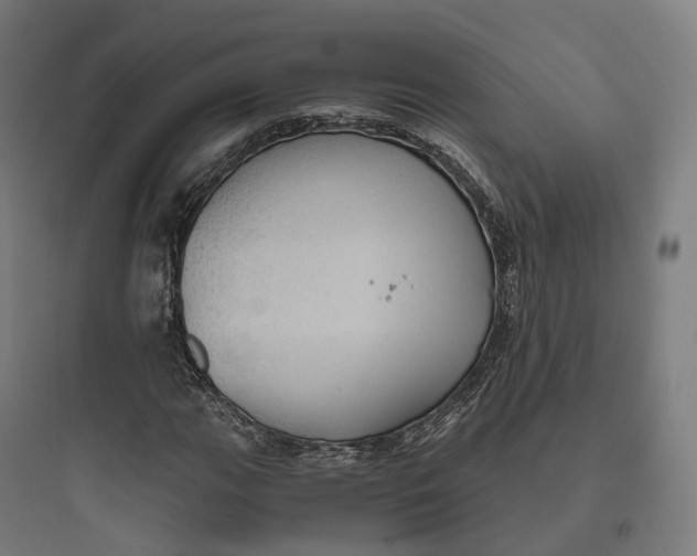 X0000093771111200711061128