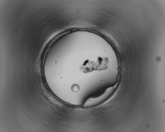 X0000093771114200711061128