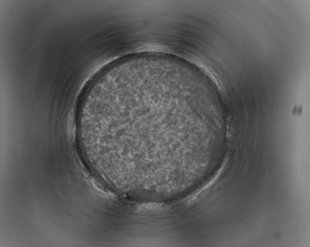 X0000093771117200711061128