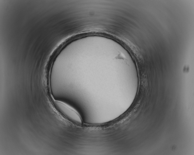 X0000093771118200711061128