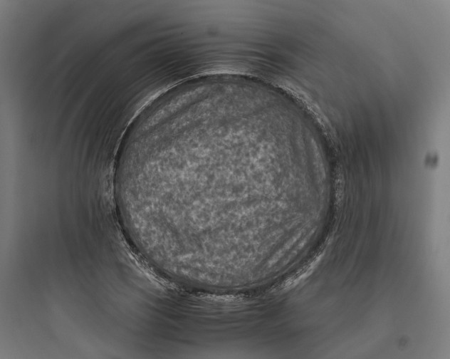 X0000093771121200711061128