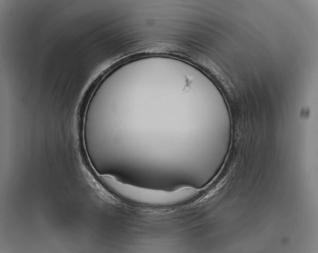 X0000093771122200711061128