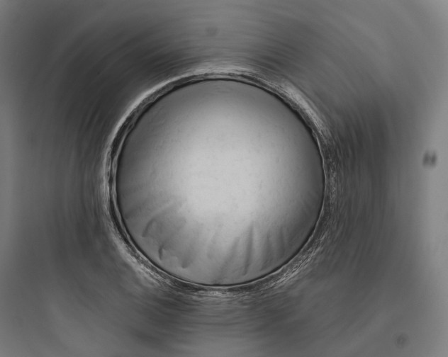 X0000093771124200711061128