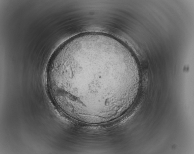 X0000093771125200711061128