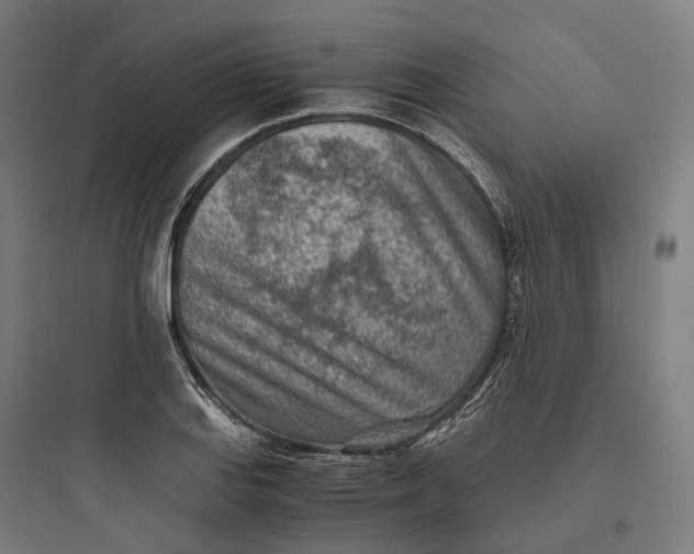 X0000093771127200711061128