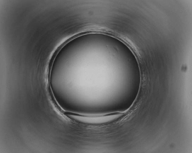 X0000093771128200711061128