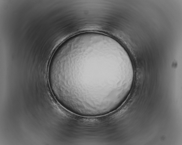 X0000093771129200711061128