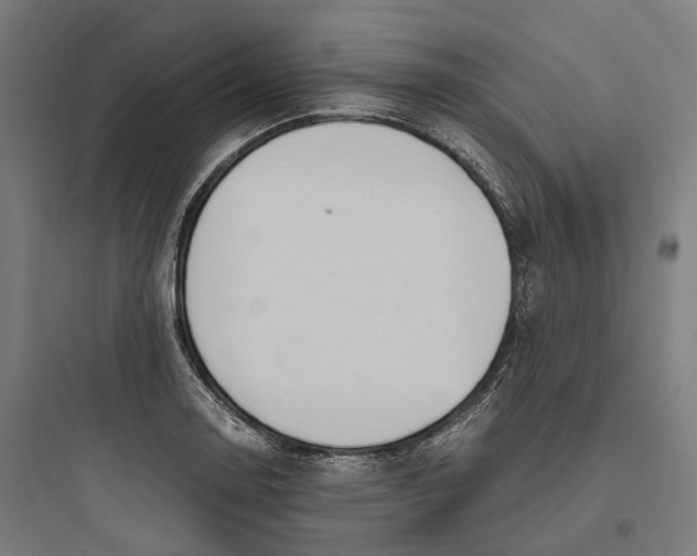 X0000093771130200711061128