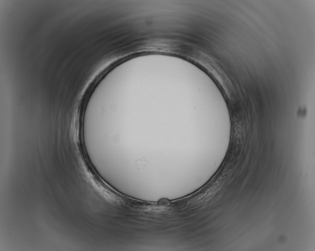 X0000093771131200711061128