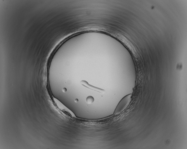 X0000093771132200711061128