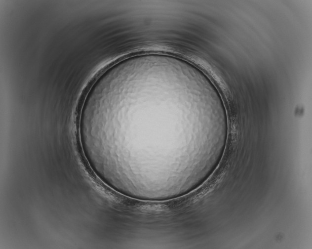 X0000093771133200711061128