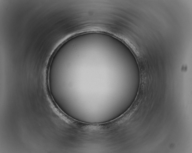 X0000093771134200711061128