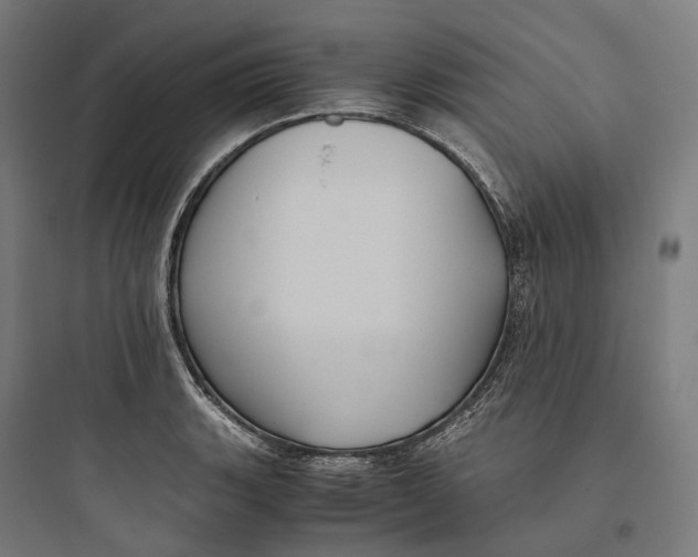 X0000093771135200711061128