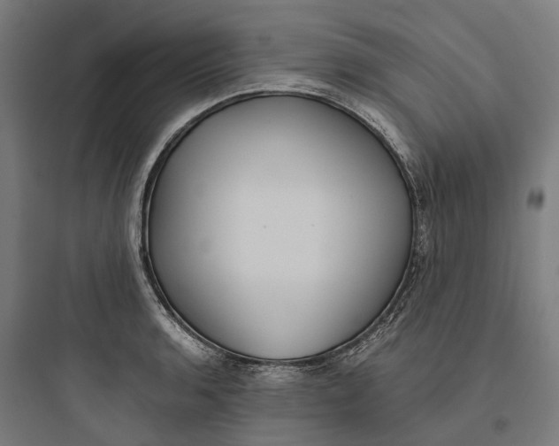 X0000093771136200711061128