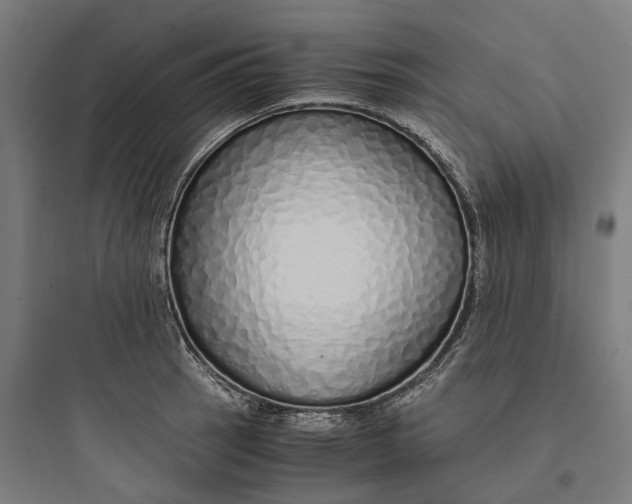 X0000093771137200711061128