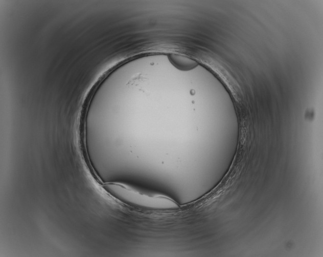 X0000093771139200711061128