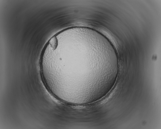 X0000093771141200711061128