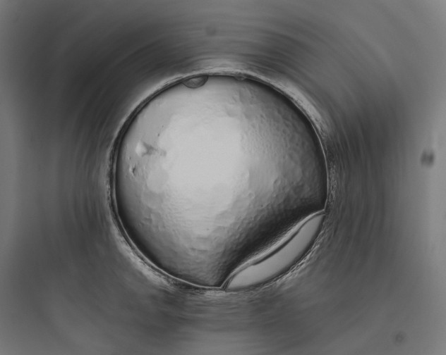 X0000093771142200711061128