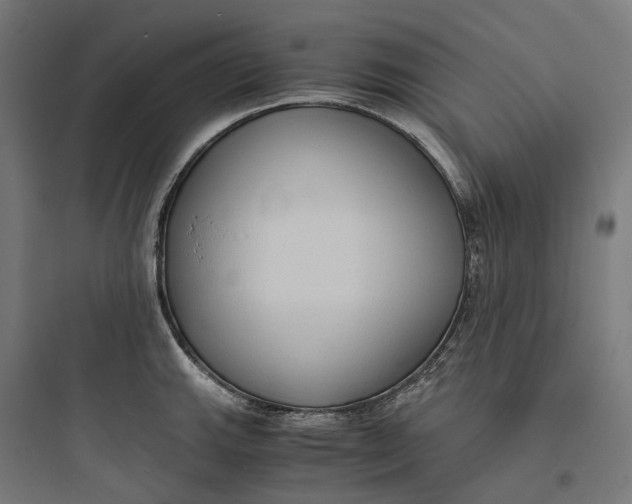 X0000093771143200711061128