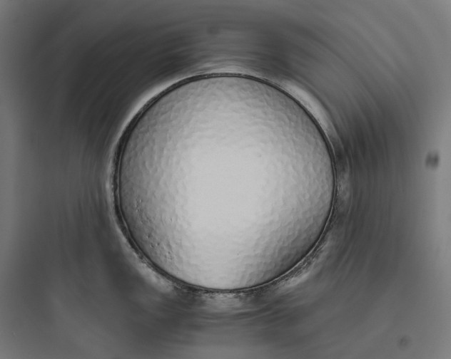 X0000093771149200711061128