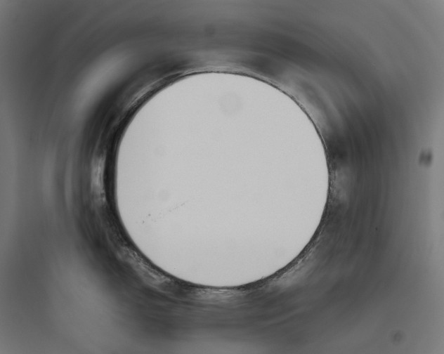 X0000093771150200711061128