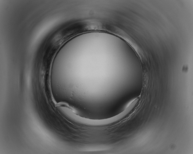 X0000093771151200711061128