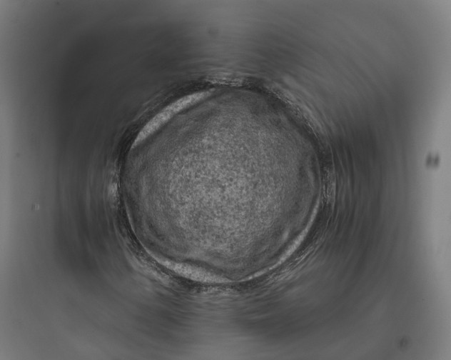 X0000093771154200711061128