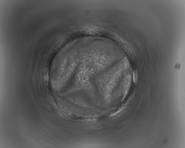 X0000093771155200711061128