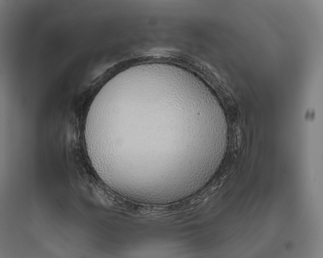 X0000093771158200711061127