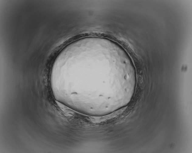 X0000093771159200711061127