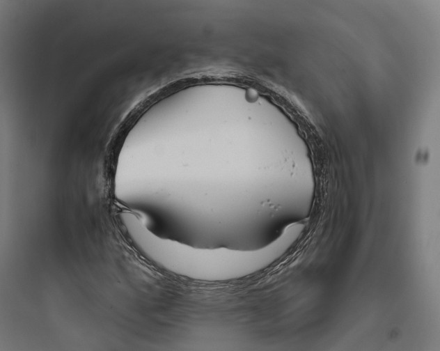 X0000093771160200711061127