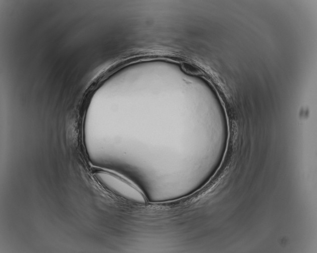 X0000093771163200711061127