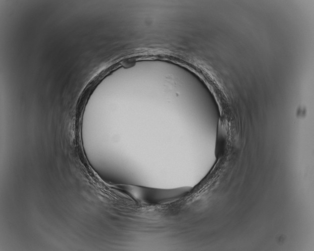 X0000093771165200711061127