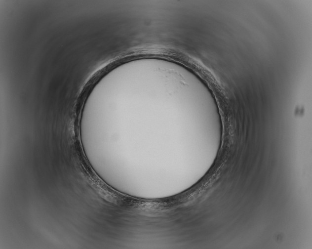 X0000093771166200711061127