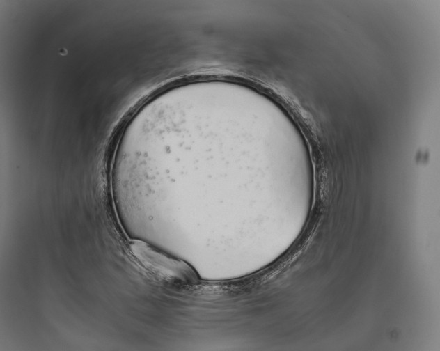 X0000093771167200711061127