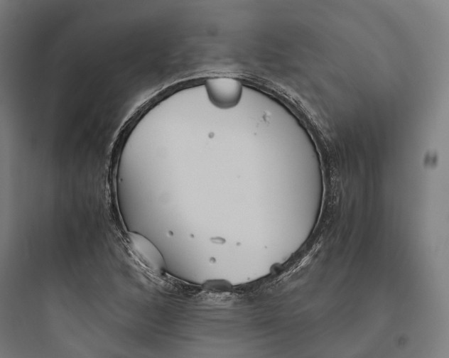 X0000093771168200711061127