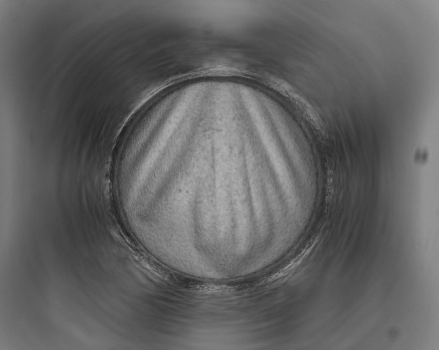 X0000093771170200711061127