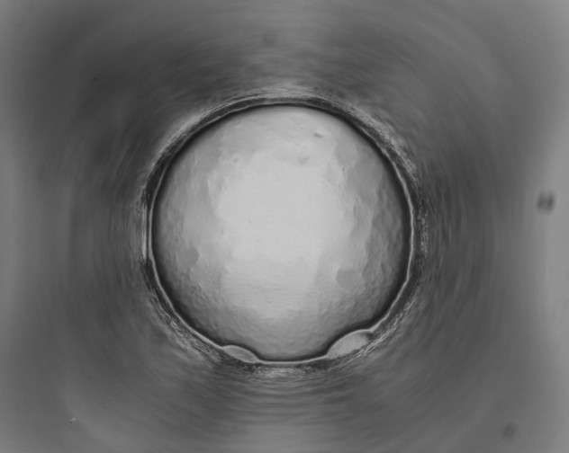 X0000093771171200711061127