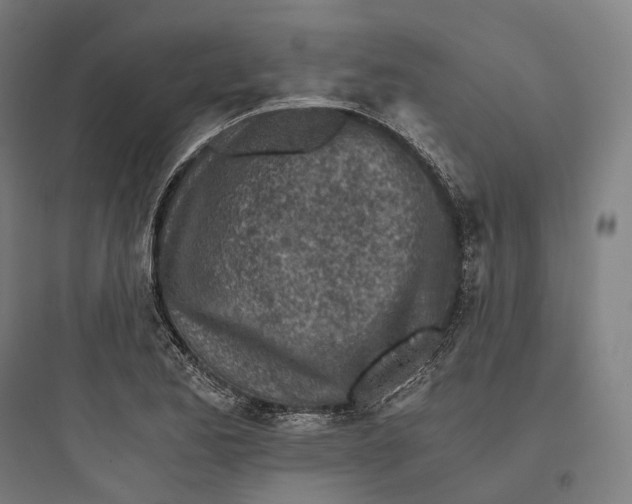 X0000093771173200711061127