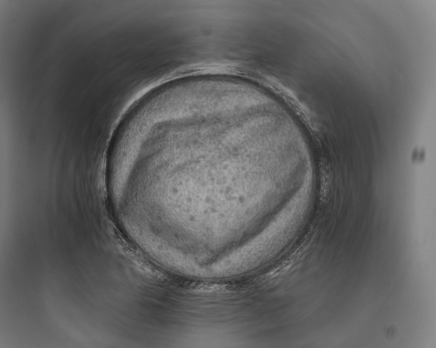 X0000093771174200711061127