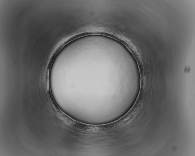 X0000093771175200711061127