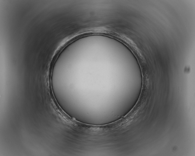 X0000093771176200711061127