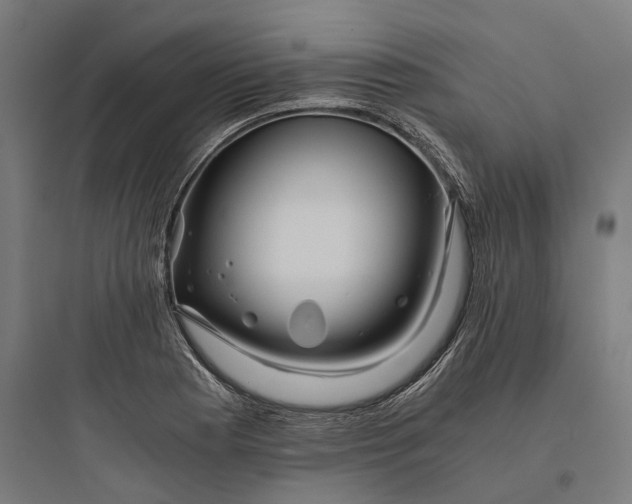 X0000093771177200711061127