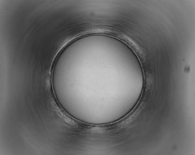 X0000093771178200711061127