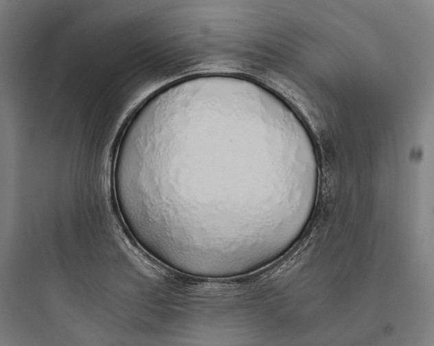 X0000093771179200711061127